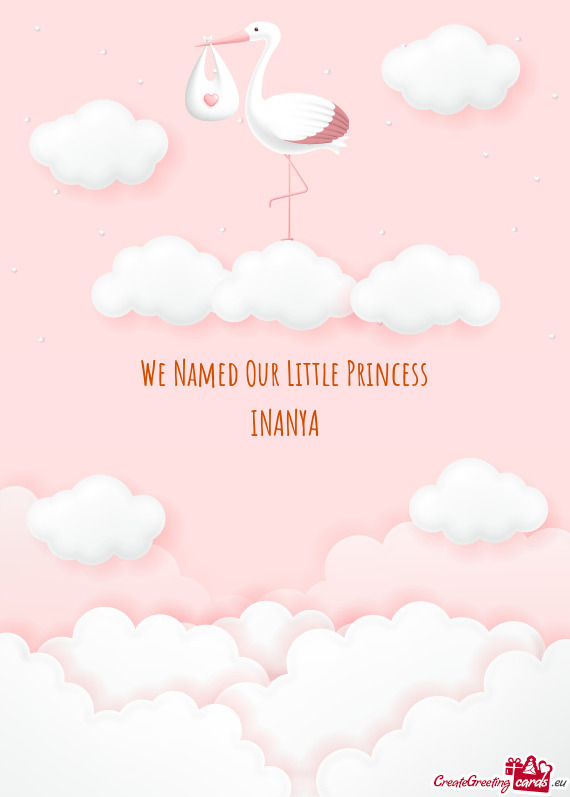 We Named Our Little Princess INANYA
