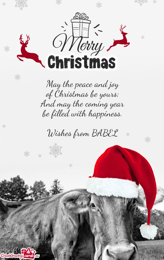 Wishes from BABEL