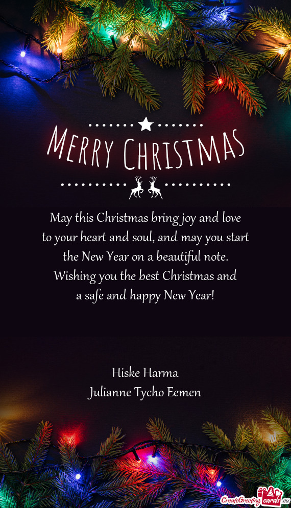 Wishing you the best Christmas and a safe and happy New Year!  Hiske Harma Julianne Tycho