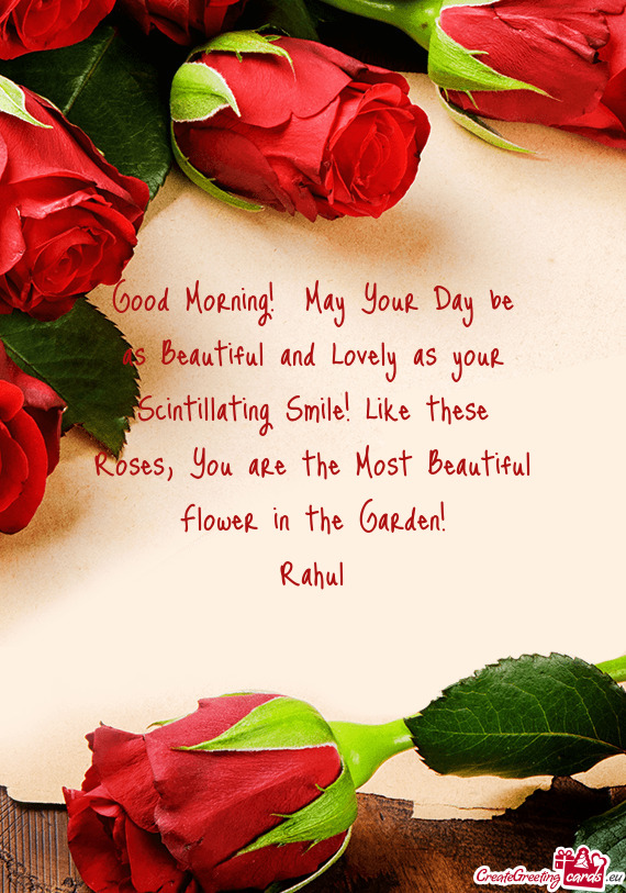 You are the Most Beautiful Flower in the Garden!
 Rahul