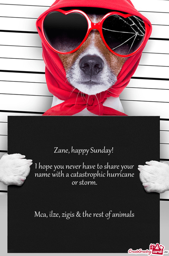 Zane, happy Sunday