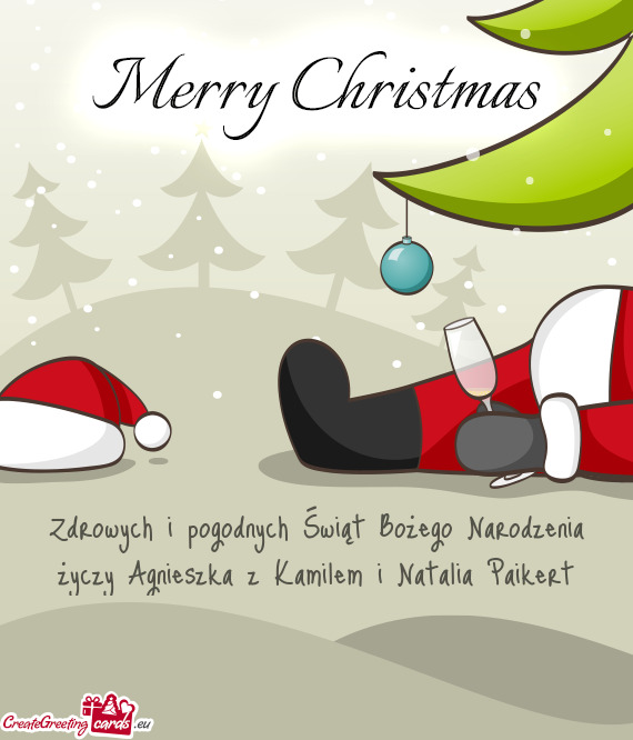 Zdrowych i pogodnych Świąt Bożego Narodzenia życzy Agnieszka z Kamilem i Natalia Paikert