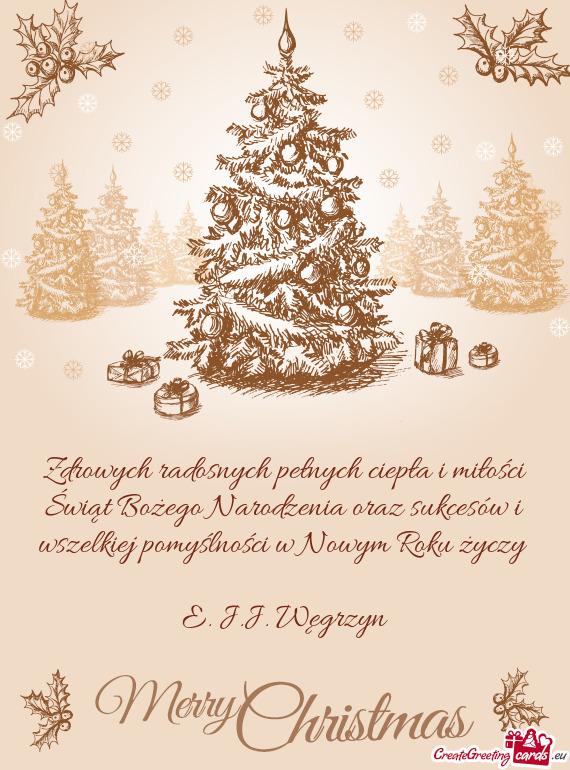 Zdrowych radosnych pełnych ciepła i miłości Świąt Bożego Narodzenia oraz sukcesów i wszelkie