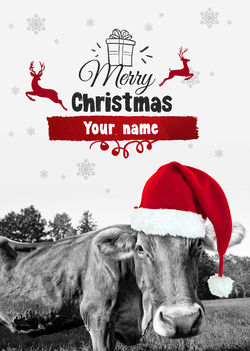 Christmas Cow Card