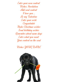Card for apology with doggy